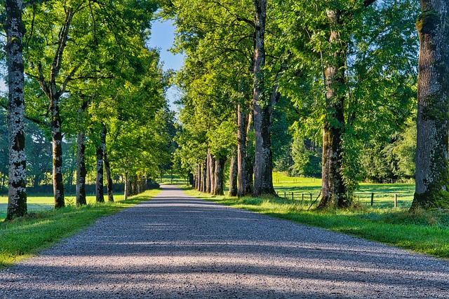 Italian countryside meadow path